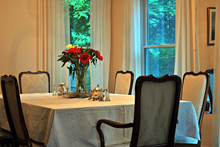 common area - dining room